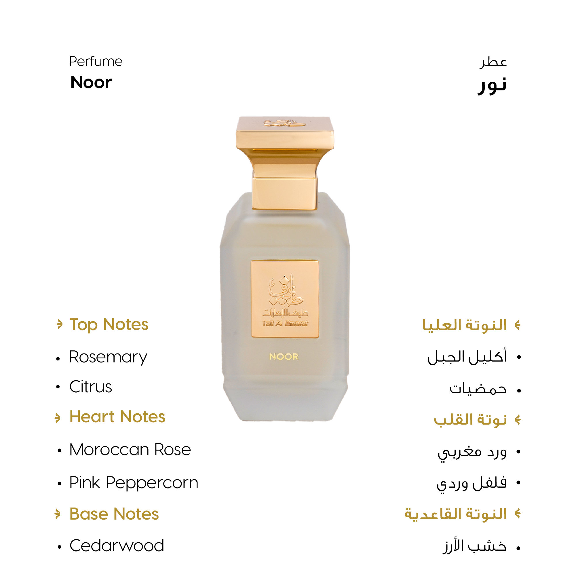 زجاجة عطر معروضة على خلفية نظيفة - فخورين بالإمارات - أحلى هدايا عيد الحب في الإمارات
