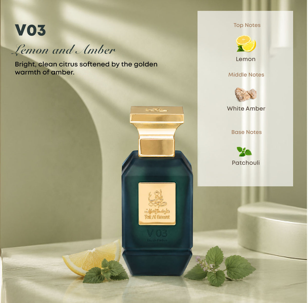 V03